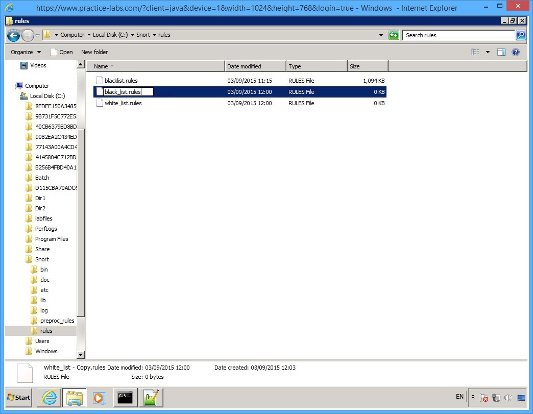 Practice Labs screenshot.